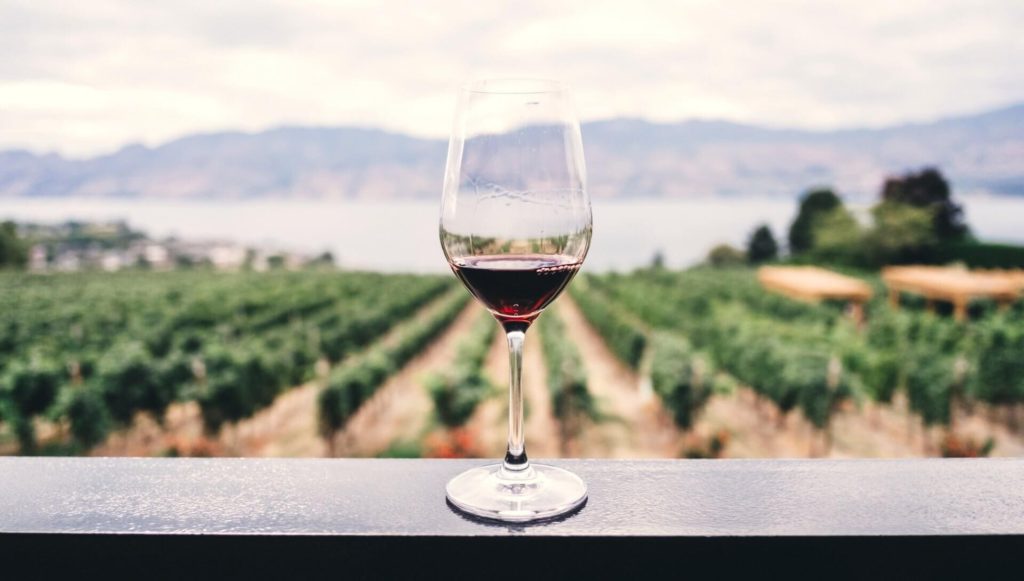 خيار رائع لأولئك الذين يحبون المشي ويريدون تجربة أنواع مختارة من النبيذ الجورجي مثل ...